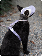 Black cat wearing a Hibiscus Purple cat sun hat from behind