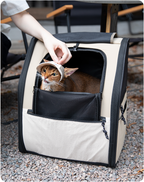 Brown cat wearing a Milk Brown cat sun hat inside a pet carrier
