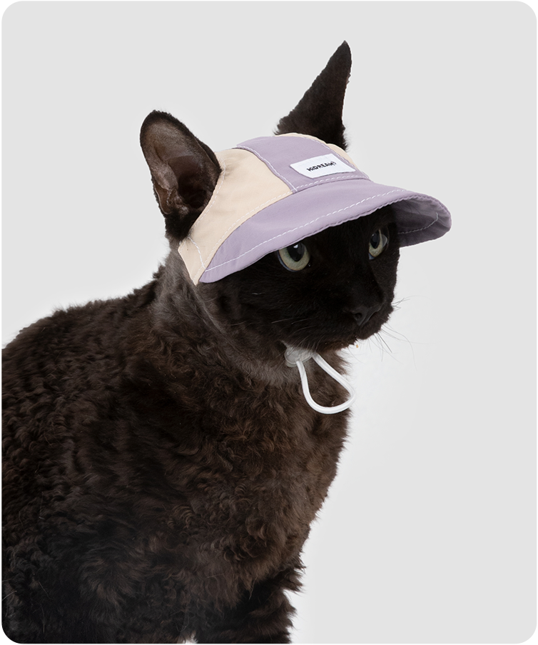 Black cat wearing a Hibiscus Purple lightweight cat sun hat