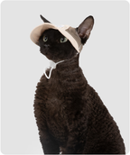 Black cat wearing a Milk Brown lightweight cat sun hat