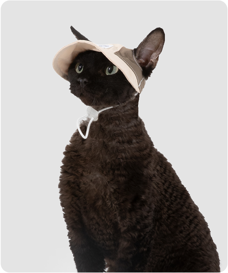 Black cat wearing a Milk Brown lightweight cat sun hat