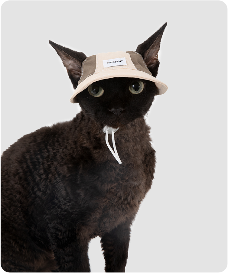 Black cat wearing a Milk Brown cat sun hat in a front view
