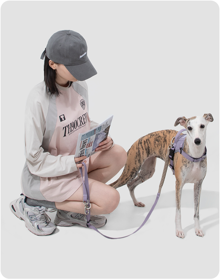 Dog and walker using the Valley bungee leash outdoors
