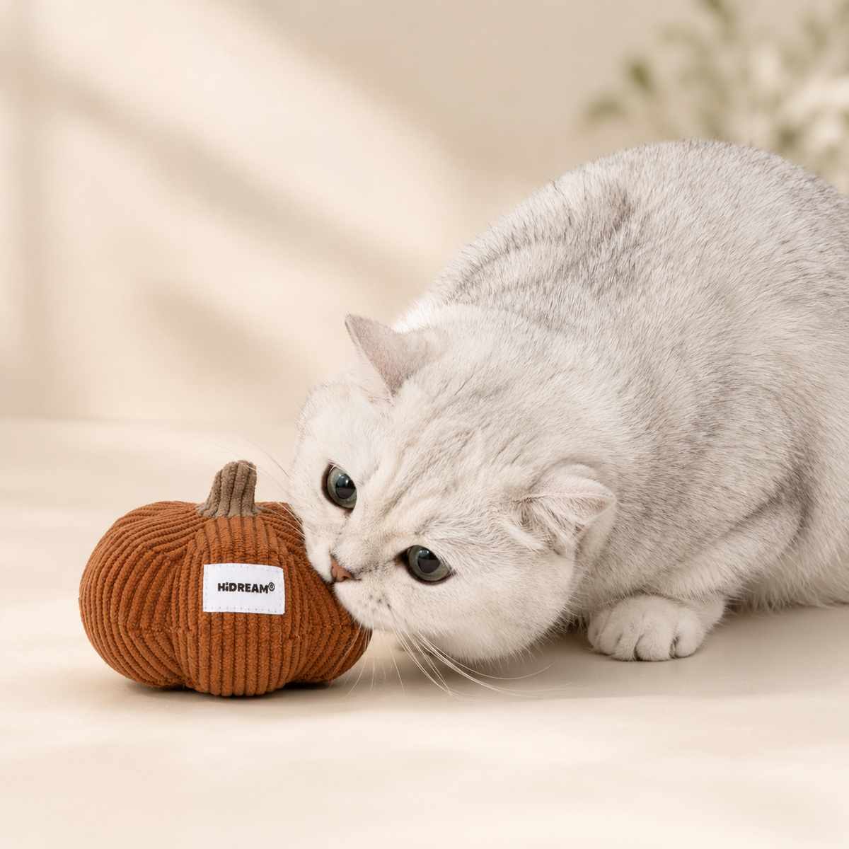 Pumpkin catnip plush toy style
