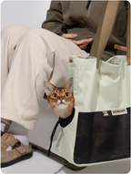 Close-up of a cat using the Color-Block Cat Sling Carrier Bag