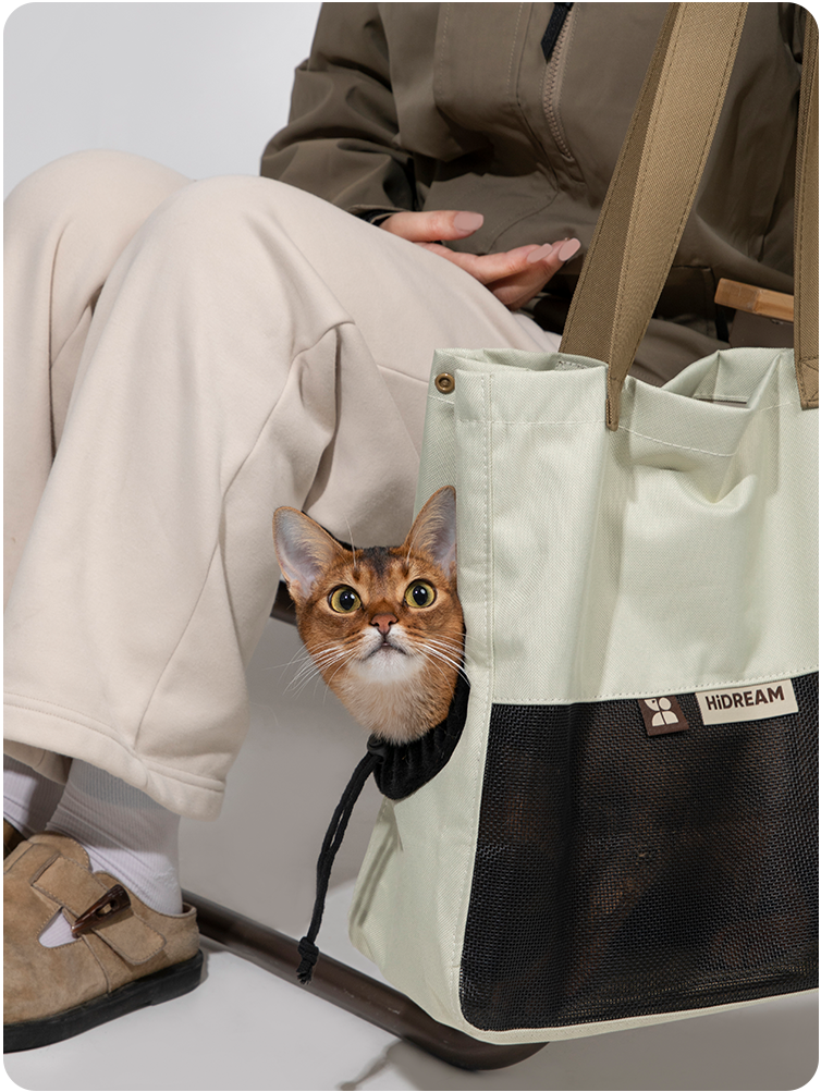 Close-up of a cat using the Color-Block Cat Sling Carrier Bag
