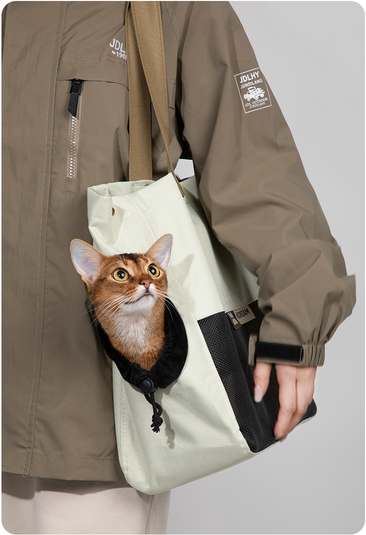 Matcha Cookie cat sling carrier outdoors