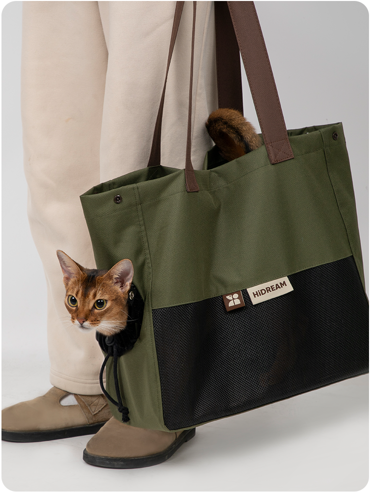 Cat enjoying an outdoor moment in the Matcha Cookie sling carrier