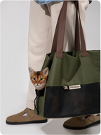 Matcha Cookie cat sling carrier during a walk