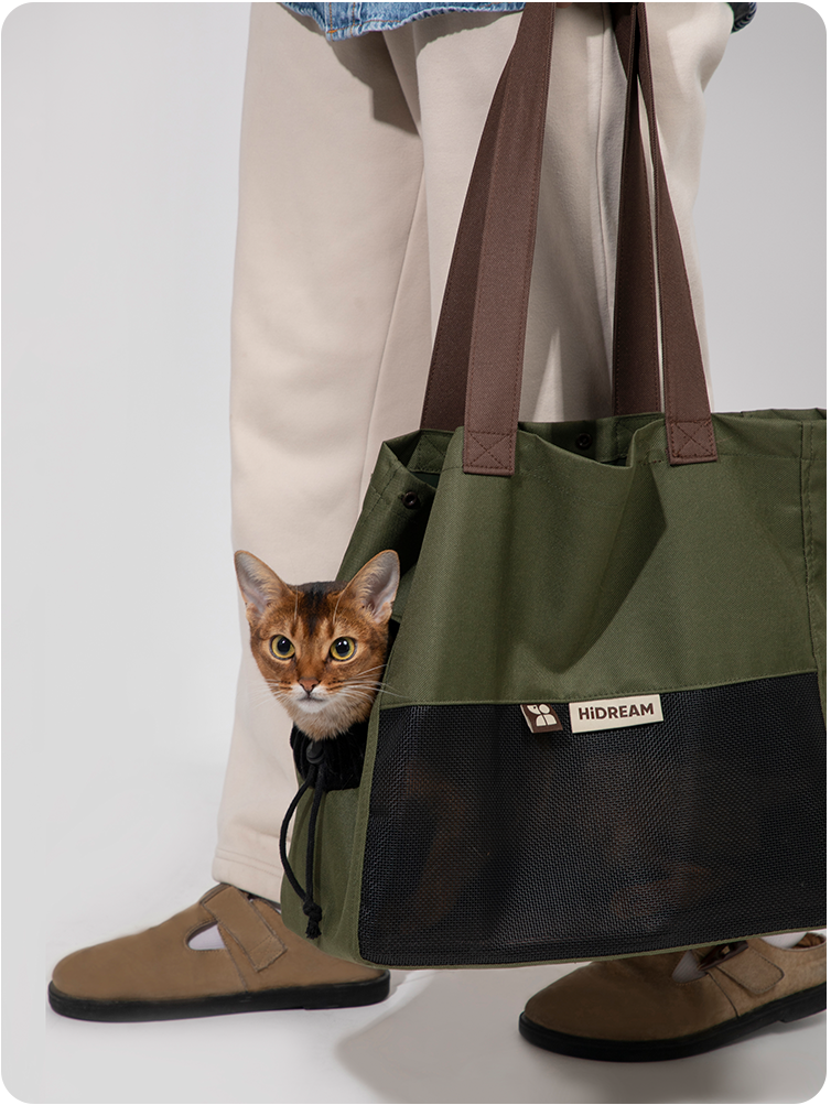 Matcha Cookie cat sling carrier during a walk