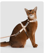 Camellia White Bobo cat harness and leash set on a cat in studio