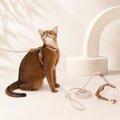 Milk Brown HD024017 Cross-Motion cat harness and leash set