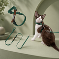 Turquoise HD024019 figure-8 cat harness and leash set
