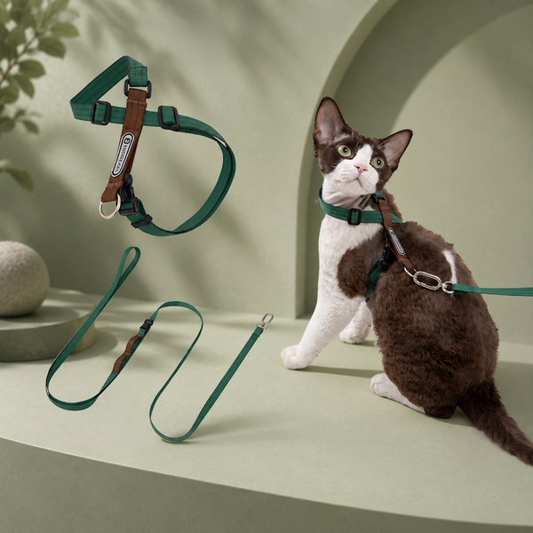 Figure-8 Escape-Resistant Cat Harness & Leash Set