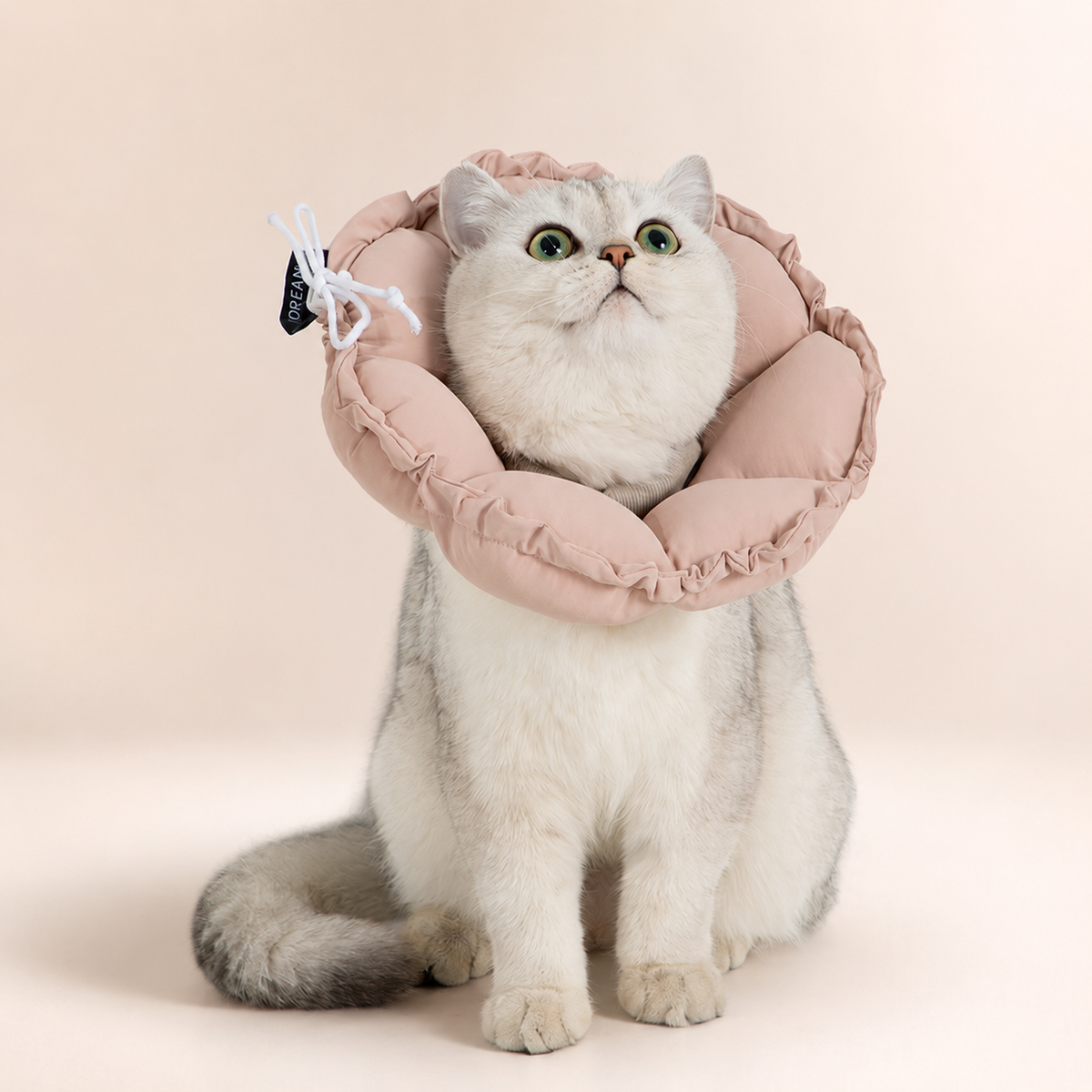 Chestnut Pink HD027002 flower cat recovery collar variant