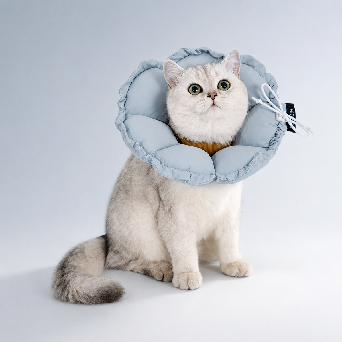 Iceland Blue HD027002 flower cat recovery collar variant