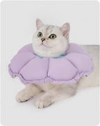 Cat wearing the upgraded flower recovery collar in a lifestyle setting