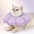 Wisteria Purple HD027002 flower cat recovery collar variant