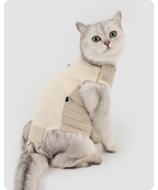 White cat wearing the recovery suit from the side