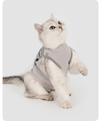White cat wearing the gray recovery suit