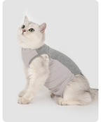 White cat wearing the gray and pink recovery suit