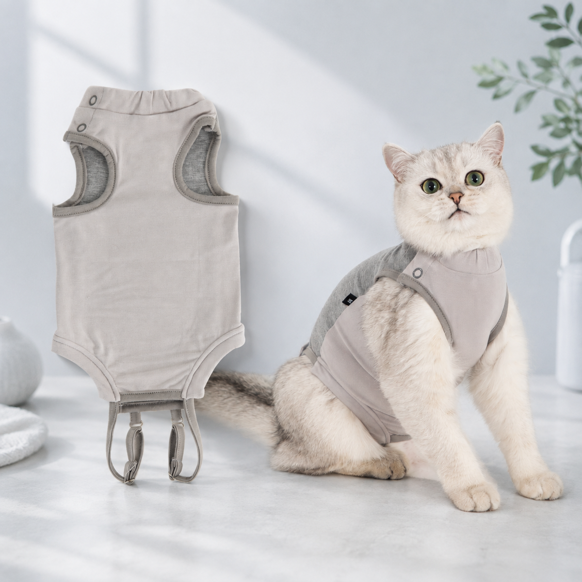 Coconut milk yellow HD027003 cat recovery suit variant image