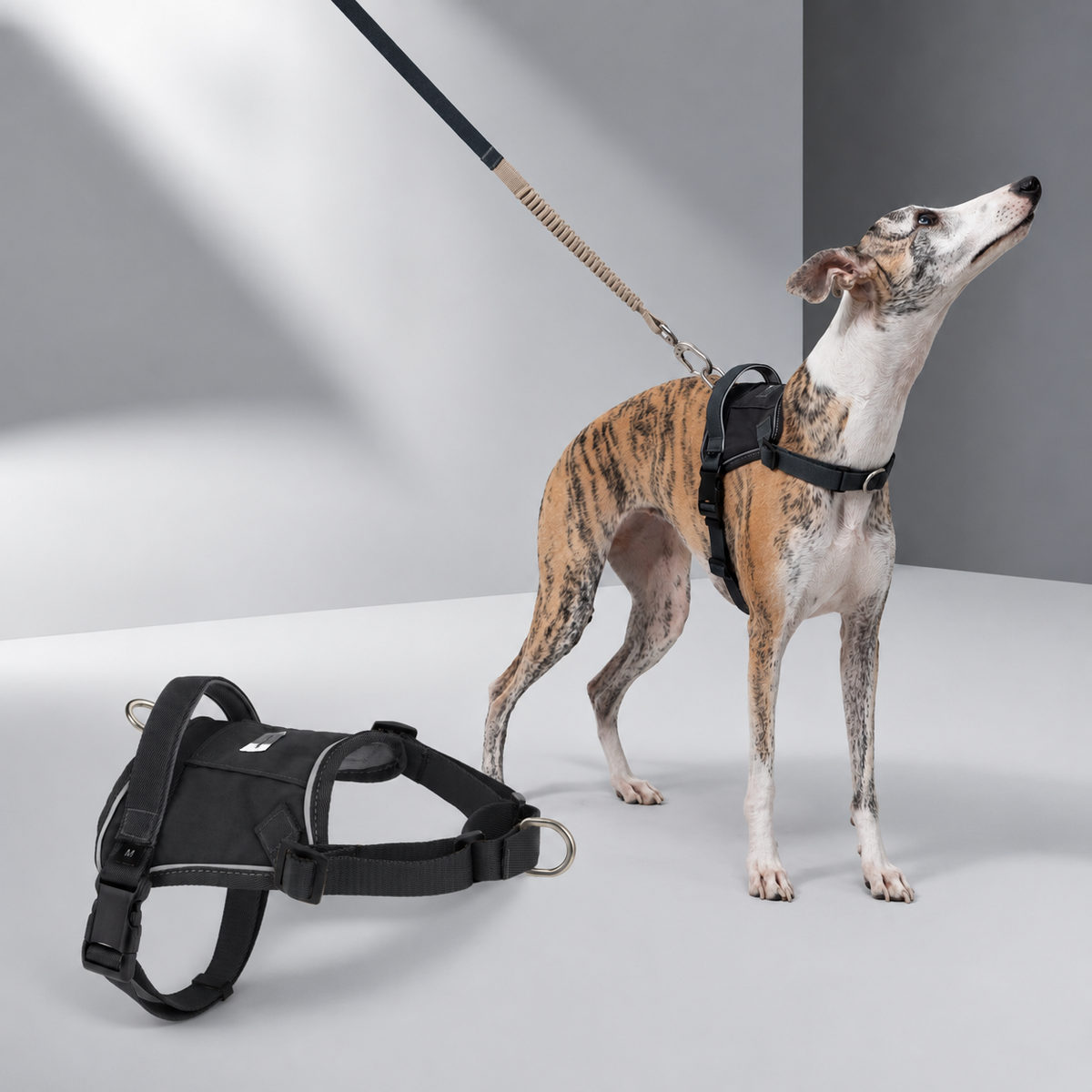 Buckwheat Gray HD029007 dog harness SKU image