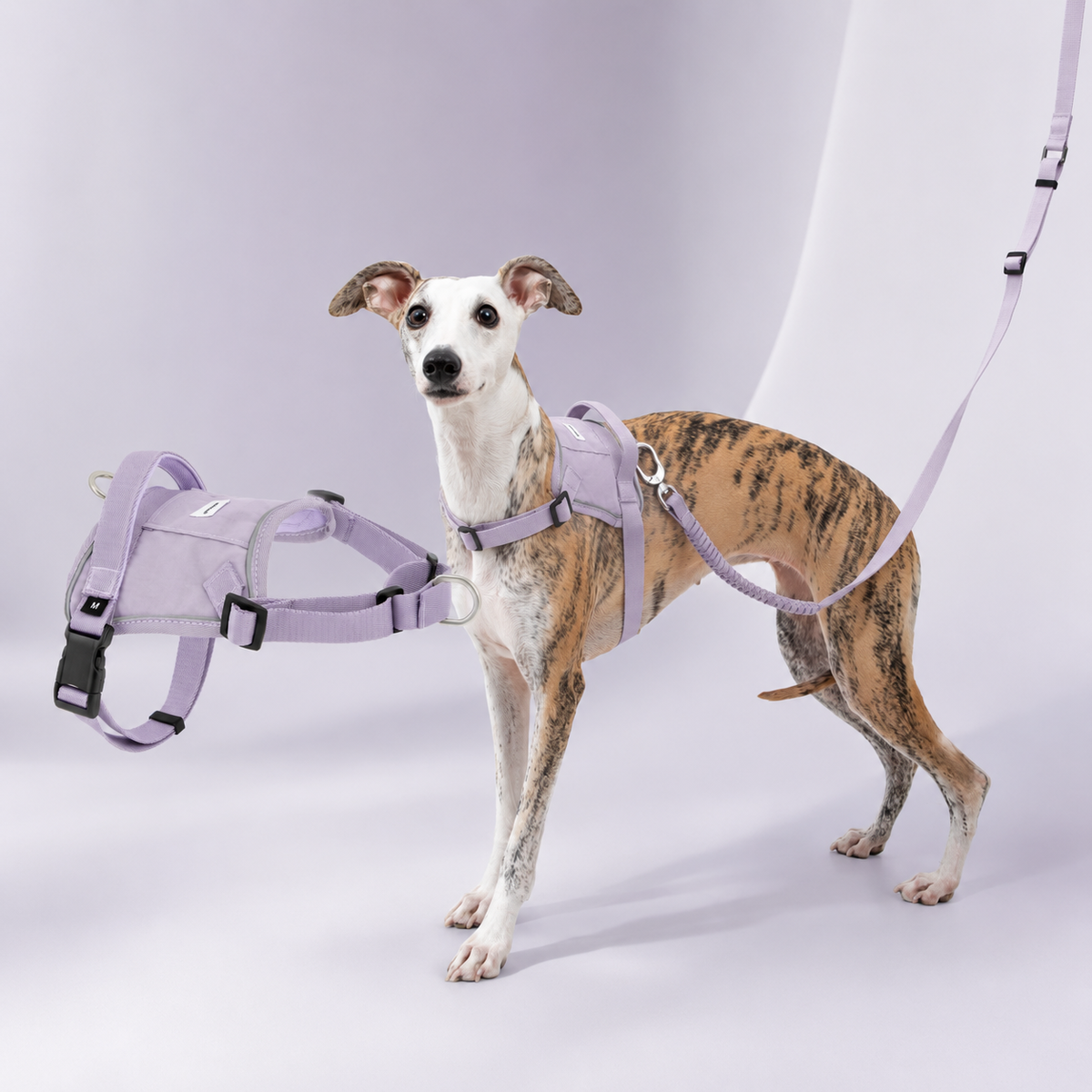 Hibiscus Purple HD029007 dog harness SKU image