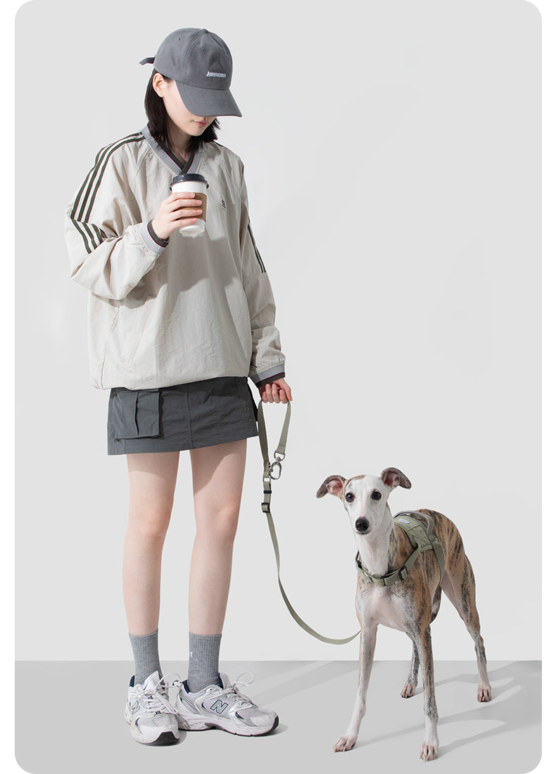 Dog wearing the Valley Quick-On Anti-Pull Dog Harness on a walk