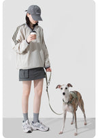 Dog wearing the Valley Quick-On Anti-Pull Dog Harness on a walk