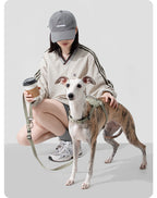 Close outdoor view of the Valley Quick-On Dog Harness