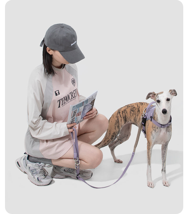 Valley Quick-On Dog Harness in an outdoor setting