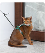 Turquoise Green Bobo cat harness and leash set on a cat outdoors
