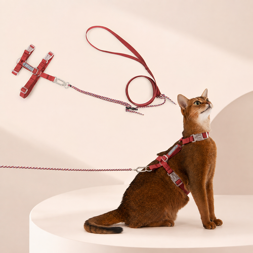 Summer Red Bobo Series cat harness and leash set