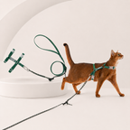 Turquoise Green Bobo Series cat harness and leash set