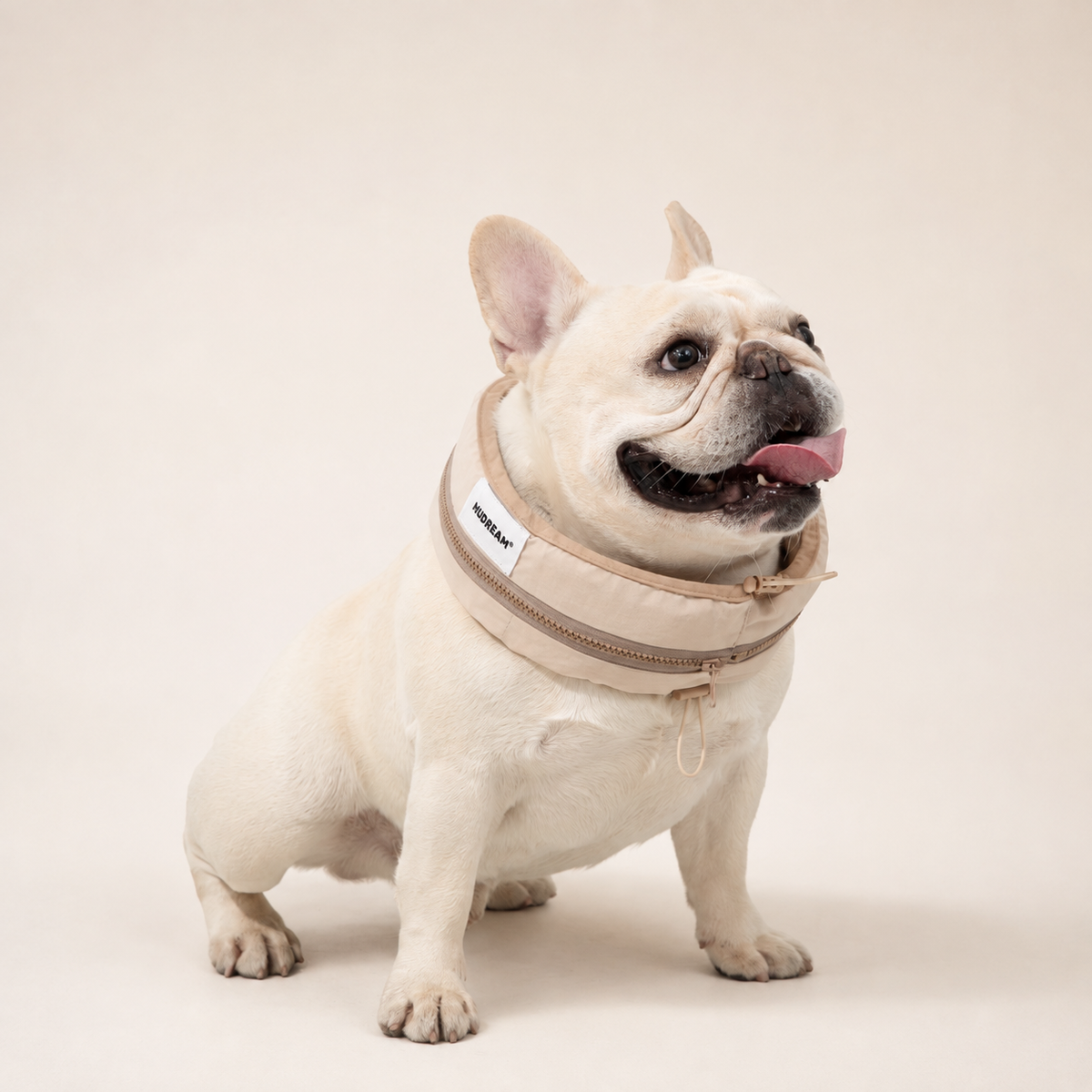 Milk Brown dog cooling collar product image