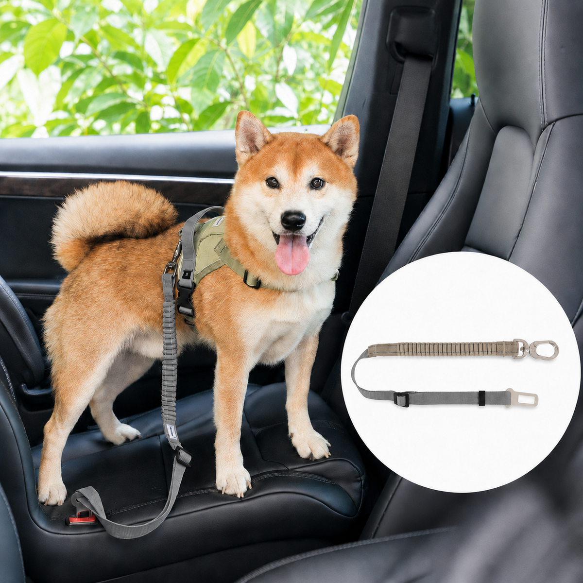 Buckwheat Gray Valley pet car safety belt SKU image