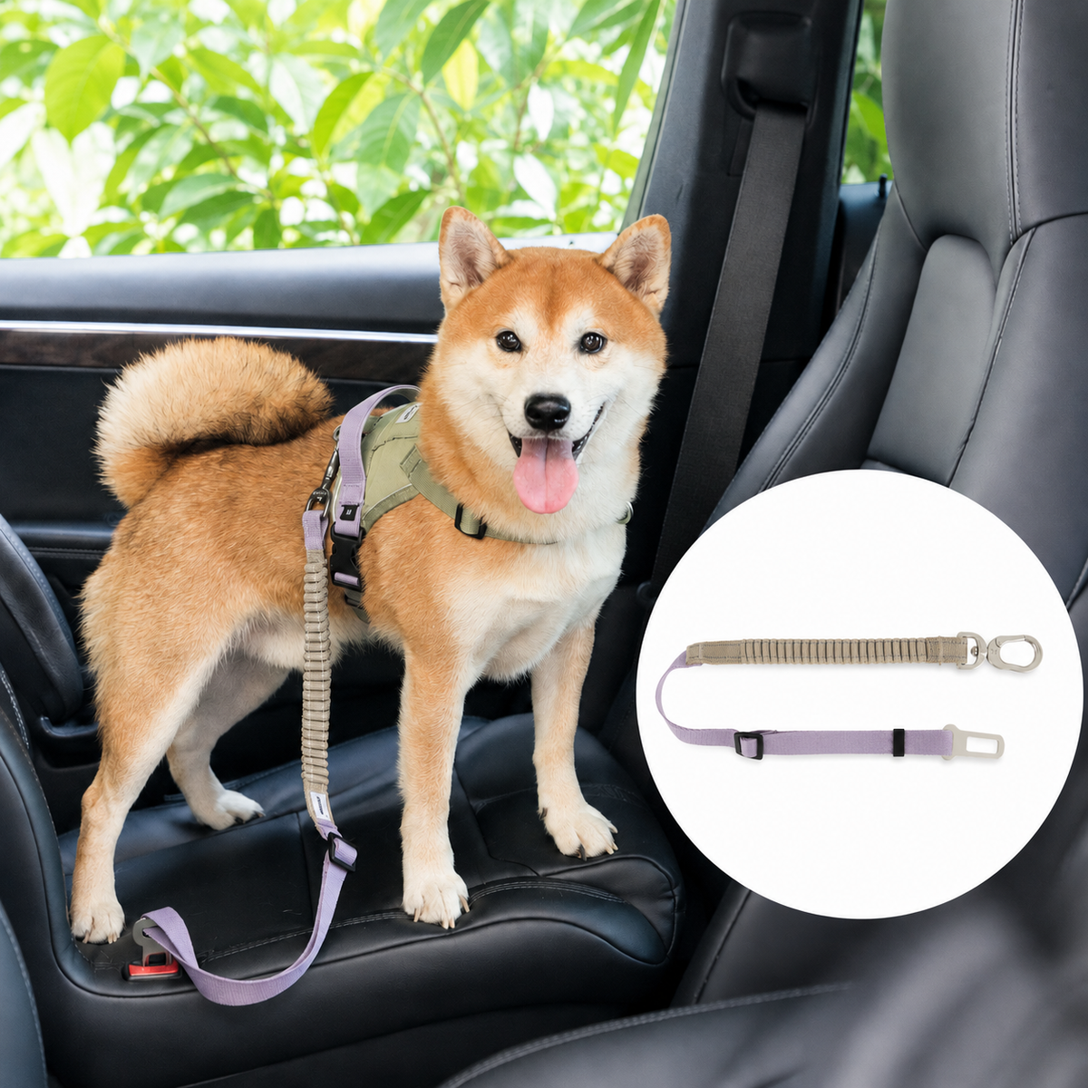 Hibiscus Purple Valley pet car safety belt SKU image