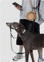 Dog wearing the Buckwheat Gray Valley training muzzle
