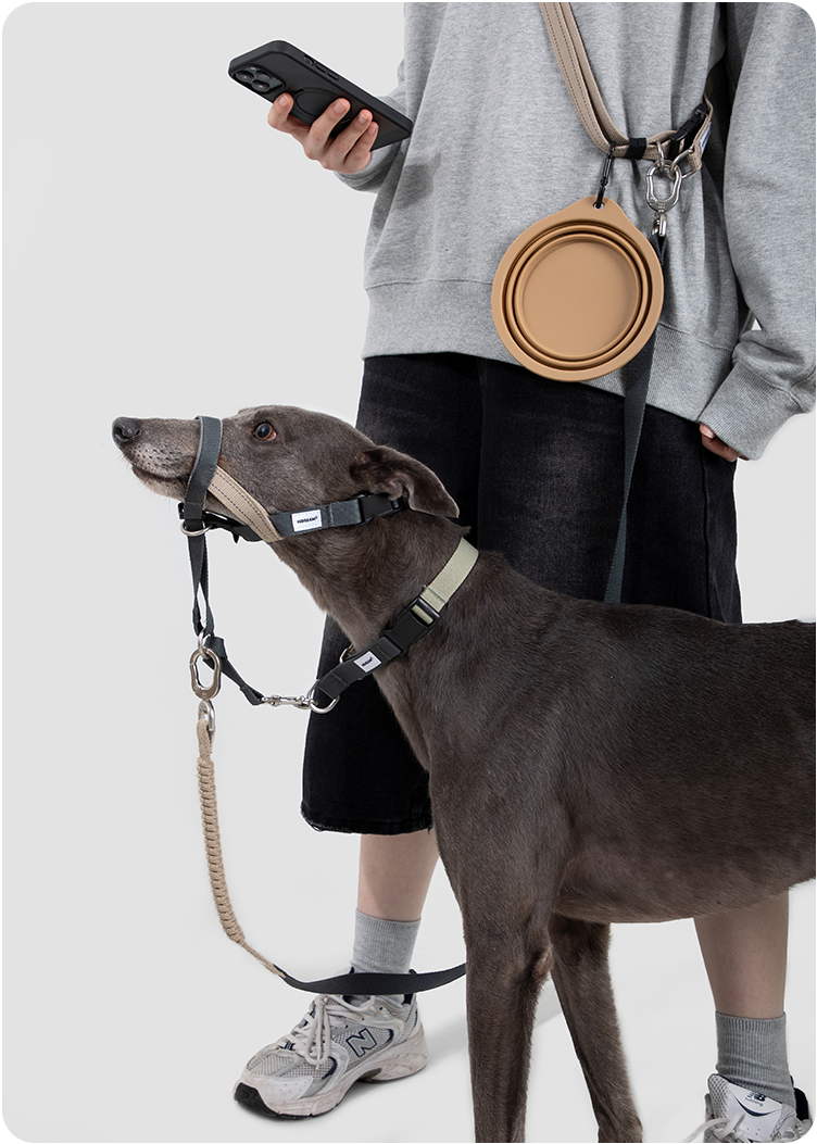 Dog wearing the Buckwheat Gray Valley training muzzle