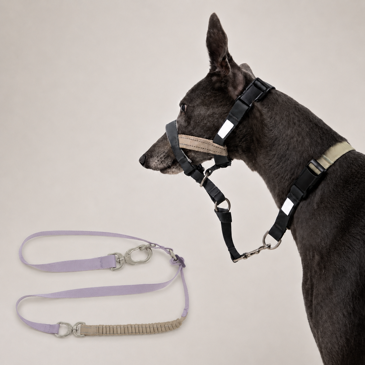 Hibiscus Purple HD029012 dog muzzle with bungee leash set SKU image