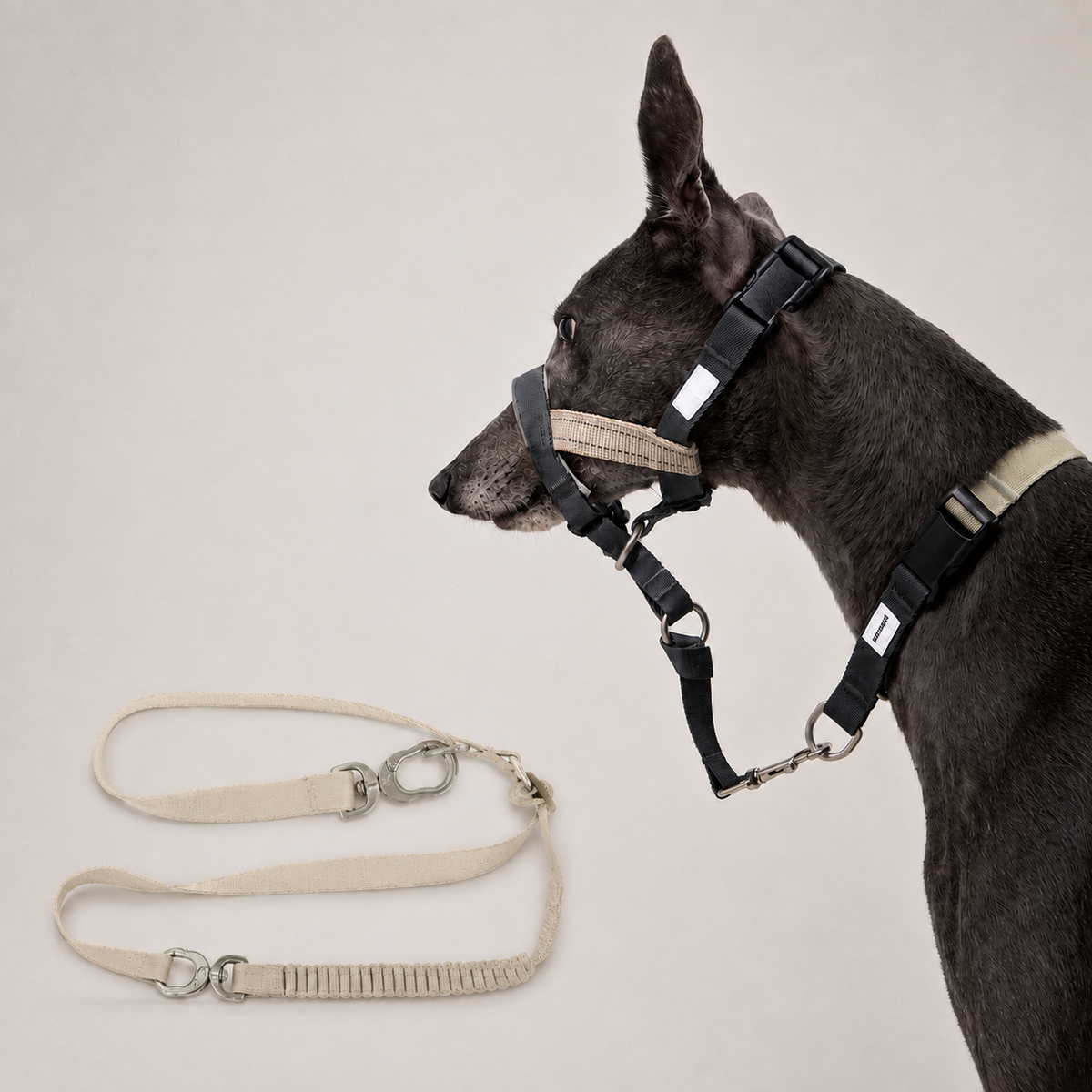 Milk Brown HD029012 dog muzzle with bungee leash set SKU image
