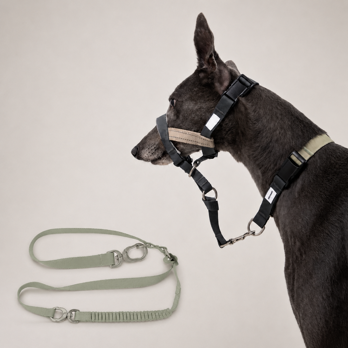 Olive Green HD029012 dog muzzle with bungee leash set SKU image