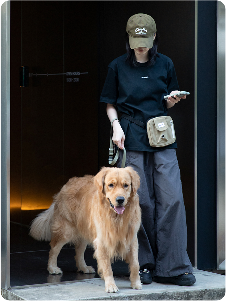 Terracotta Brown Toast Training Treat Pouch worn while walking a dog