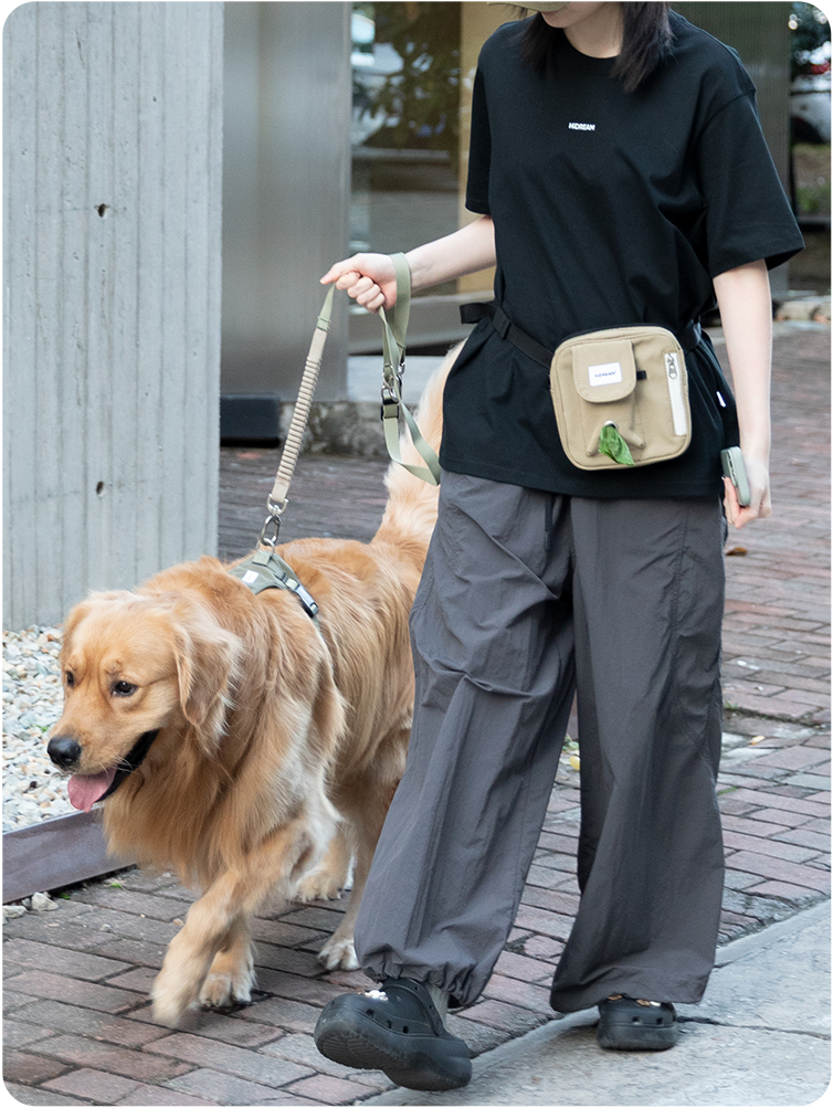 Terracotta Brown Toast Training Treat Pouch worn on a dog walk