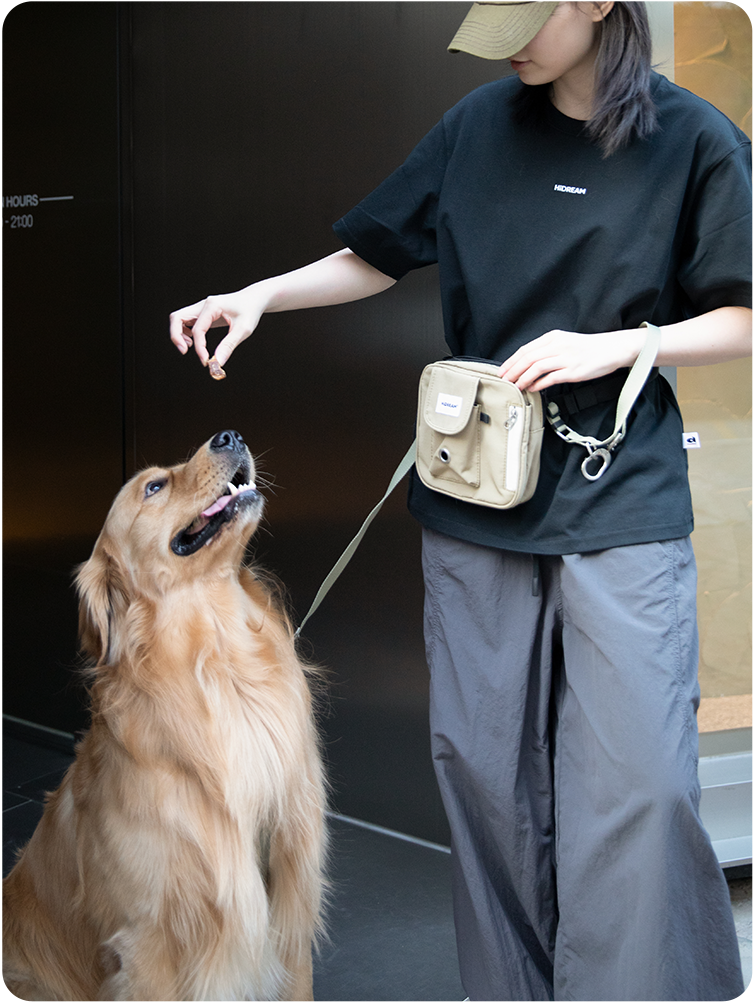 Terracotta Brown Toast Training Treat Pouch used during dog training