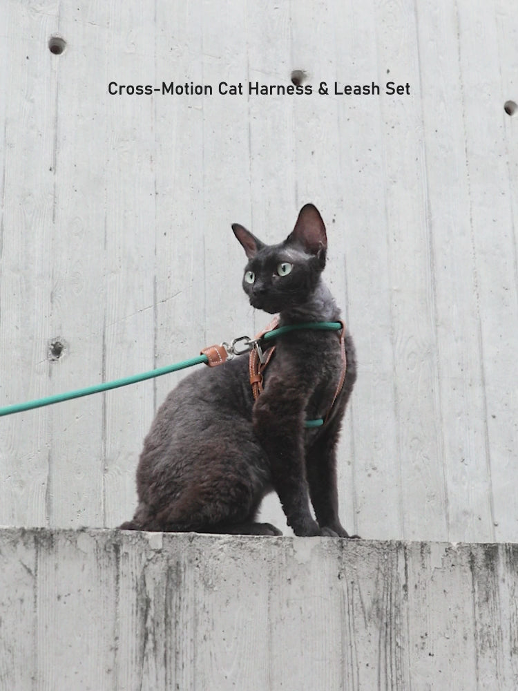 English Cross-Motion cat harness and leash set product video