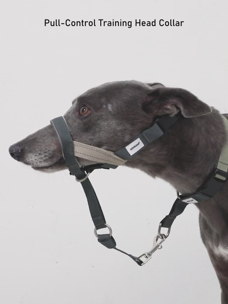 English Valley anti-pull training dog muzzle video for HD029012