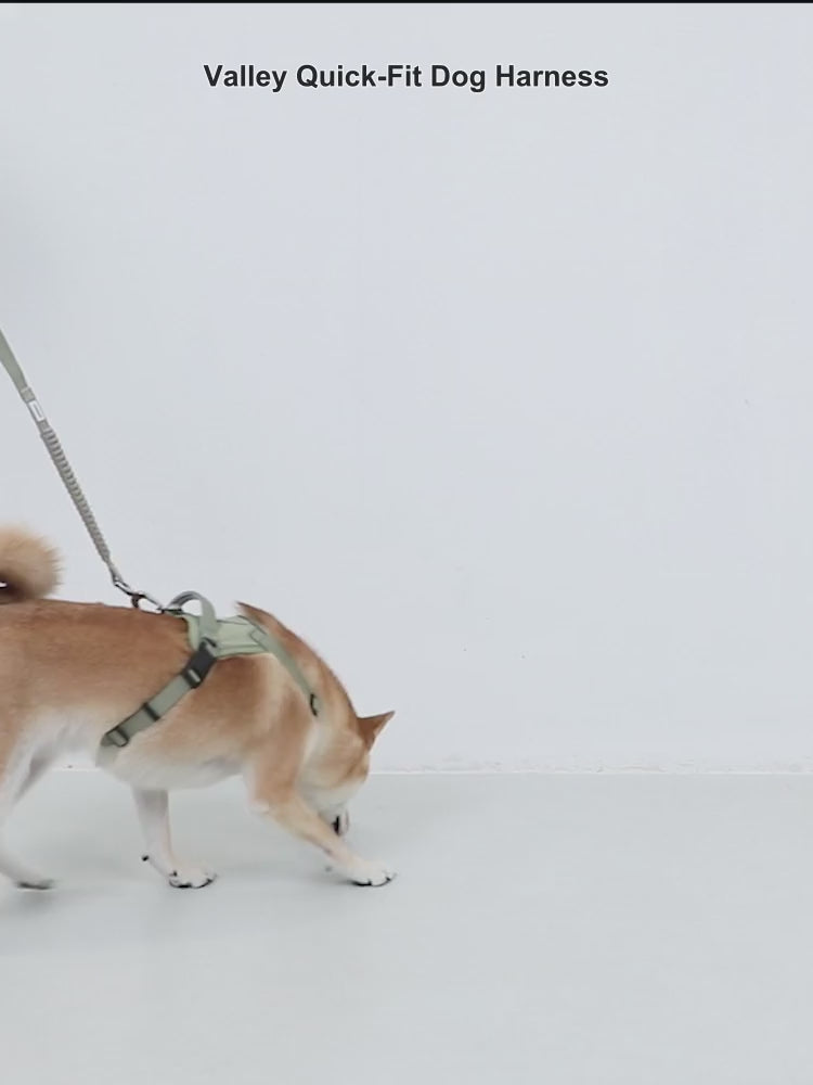 English product video for the HD029007 Valley Quick-On Dog Harness
