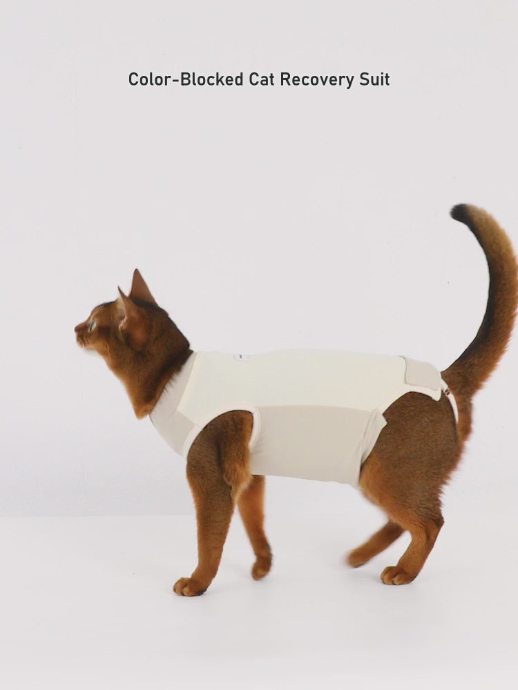 English product video for the Color-Blocked Cat Recovery Suit